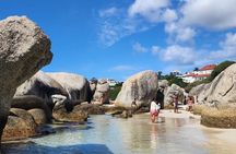 Cape Peninsula Full Day Tour with Penguins and Ocean Views