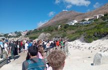 Cape Peninsula Full Day Tour with Penguins and Ocean Views