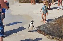 Cape Peninsula Full Day Tour with Penguins and Ocean Views