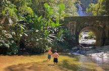 Tijuca Forest: Secret Waterfalls, Cave and Wildlife