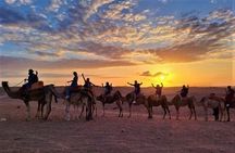 Agafay Desert Sunset from Marrakech: Quad, Camel & Dinner Show