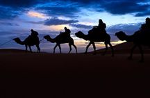 Agafay Desert Sunset from Marrakech: Quad, Camel & Dinner Show