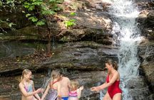 Tijuca Forest: Secret Waterfalls, Cave and Wildlife