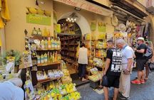 Pompeii and Sorrento Day Trip from Rome with Limoncello Tasting
