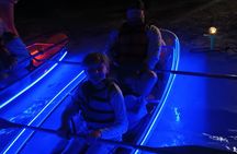Glowing Clear Kayak Adventure in Destin Harbor