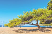 Split Brac Highlights Tour Golden Horn and Vidova Gora