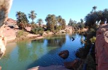 Taroudant and Tiout Oasis Day Trip from Agadir with Lunch