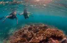 Hol Chan Catamaran Tour with Snorkel Sharks and Caye Caulker