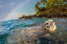 Hol Chan Catamaran Tour with Snorkel Sharks and Caye Caulker
