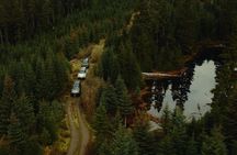 Whistler Afternoon Evening With The Bears Land Rover Scenic Tour