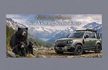 Whistler Afternoon Evening With The Bears Land Rover Scenic Tour