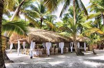 Saona Island Excursion: Natural Pool, Catamaran & Lunch Included