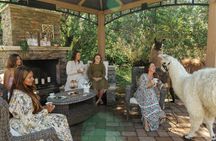 Alpaca Llama and Bunny Tea Parties