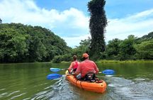 Mangrove Kayak - near Sámara & Carrillo Beach
