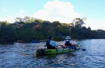 Mangrove Kayak - near Sámara & Carrillo Beach