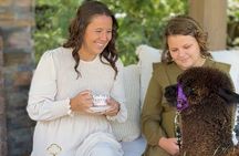 Alpaca Llama and Bunny Tea Parties