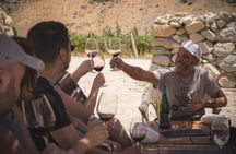 Tour Wineries From the Grape to the Cup