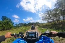 BOGO Adventure: ATV and/or Horseback Ride and Swim in Ocho Rios