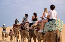 Timlalin Sunset Experience: Camel Ride, Canyon visit & Tea picnic