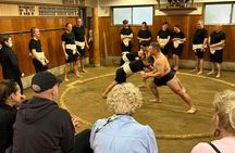 Sumo experience in Tokyo Step into the ring and sumo meal