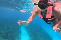 2.5 Hours Snorkeling Costa Maya