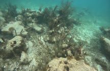 2.5 Hours Snorkeling Costa Maya