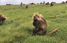 6 Days Northern Ethiopia: Sacred sites & Epic landscape