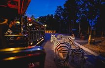 Singapore Night Safari with Tram Ride and Hotel Transfers
