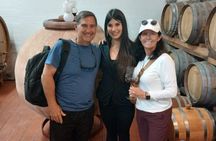 San Gimignano & Chianti Small Group Wine Tour