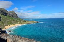 Private Custom Oahu Island Tour (Groups up to 10 passengers)