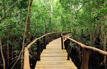 Zanzibar: Jozani Forest, Kuza cave, Salaam cave & Rock Restaurant