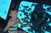 Hurghada Sea Scope Submarine Tour with Transfer