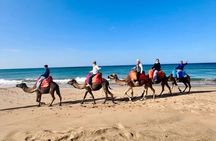 Private Tangier Highlights City Tour with Camel Ride