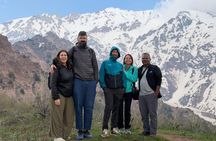 Amirsoy, Chimgan & Charvak Trip with Green Somsa and Tea