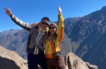 Colca Canyon full day tour with transfer to Puno