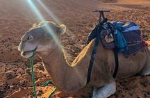 Group Desert Tour from Marrakech 2 Days
