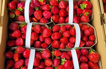 Flavors & Secrets of Île d’Orléans, Quebec – Private Gourmet Tour