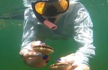 Scallop Charters in Crystal River with Captain Scotty