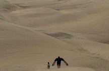 Full Day Small Group to Paracas and Huacachina and vineyards