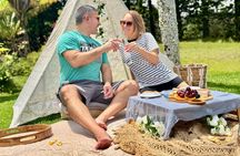 Adventure Day Picnic Near Scenic Drive & Popular Hikes