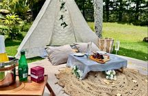Adventure Day Picnic Near Scenic Drive & Popular Hikes