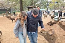 Nara Walking Tour: Deer Park, Todaiji, Kasuga & Nigatsudo