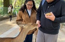 Nara Walking Tour: Deer Park, Todaiji, Kasuga & Nigatsudo
