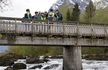 Olden: Scenic E-Bike Tour with Lakeside Picnic & Fjord Views