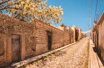 The Road to Old Mexico Pozos Ghost Town and Xichú Oasis Tour