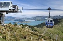Christchurch City Day Tour