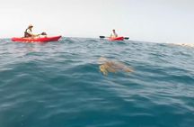 Kayak and Snorkeling Far Away From The Crowds, max. 6 people