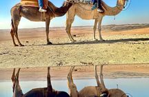 Marrakech Desert Camel Ride