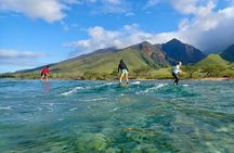 Large Family Surf Lesson Rate for 5+ People at Ukumehame Beach