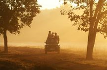 Private 4-Day Golden Triangle Tour with Ranthambore Tiger Safari